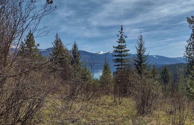 Priest Lake below, and Selkirk Mountains in the distance, are seen looking east at a break in the forest, along Kalispell - Reeder Bay Trail.