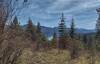 Priest Lake below, and Selkirk Mountains in the distance, are seen looking east at a break in the forest, along Kalispell - Reeder Bay Trail.