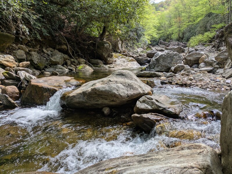 Water crossing of East Fork Pigeon River was a short hop. 2024's hurricane Helene clearly brought a lot of rocks and trees down, and significantly widened the riverbed.