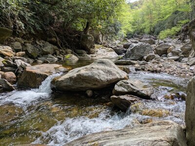 Water crossing of East Fork Pigeon River was a short hop. 2024's hurricane Helene clearly brought a lot of rocks and trees down, and significantly widened the riverbed.