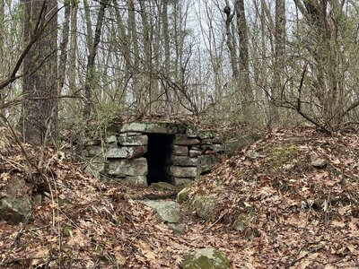 A cellarhole off the White Trail.