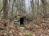 A cellarhole off the White Trail.