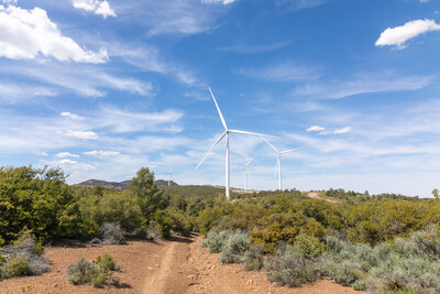 Wind turbines on Sweet Ridge.