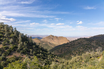 The next ridge might already be barren desert.