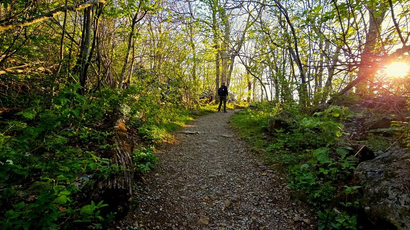 Stony Man Trail