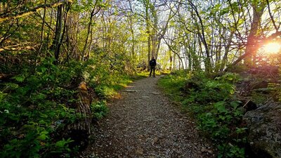 Stony Man Trail