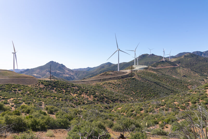 Wind turbines north of Cache Peak.
