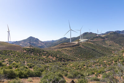 Wind turbines north of Cache Peak.