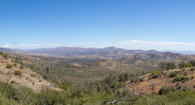 Expansive views of Kelso Valley.