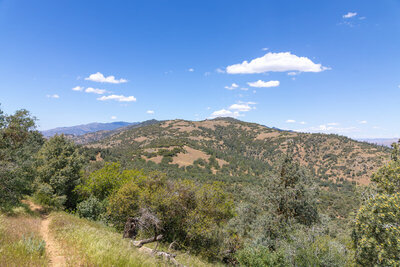 Approaching Back Canyon Road