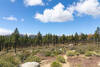 Looking back at the Piute Mountains.