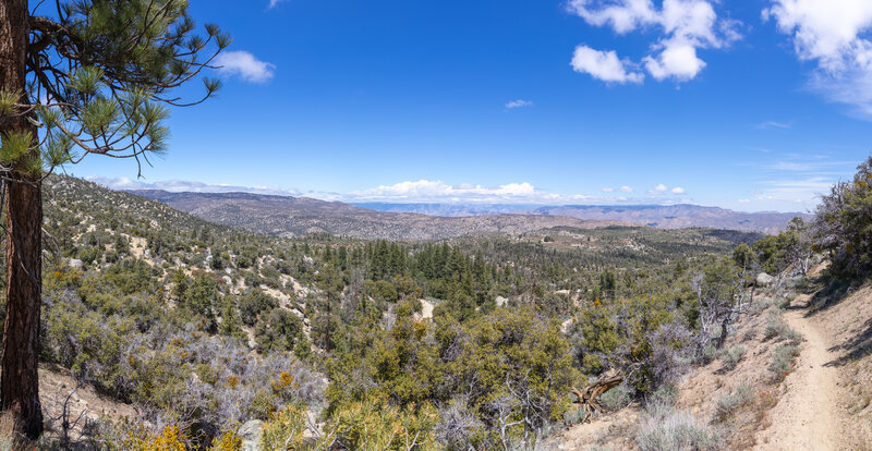 The first view towards Brightstar Wilderness and Kelso Valley.