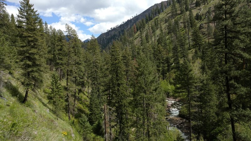 Sheep Creek in the valley below as the trail traverses a grassy hillside.