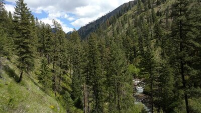 Sheep Creek in the valley below as the trail traverses a grassy hillside.