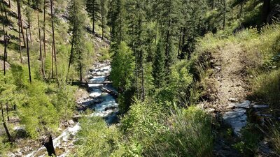 Sheep Creek (left) below the trail (right), through this rugged land.