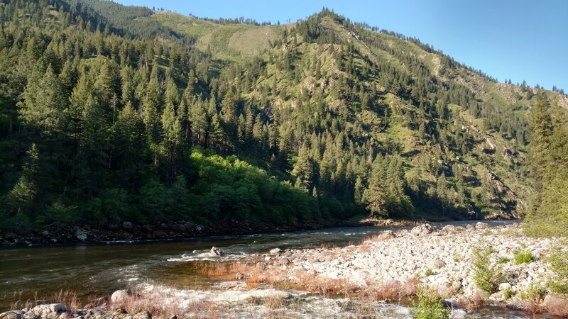 Sheep Creek (foreground) emptying into the Salmon River.