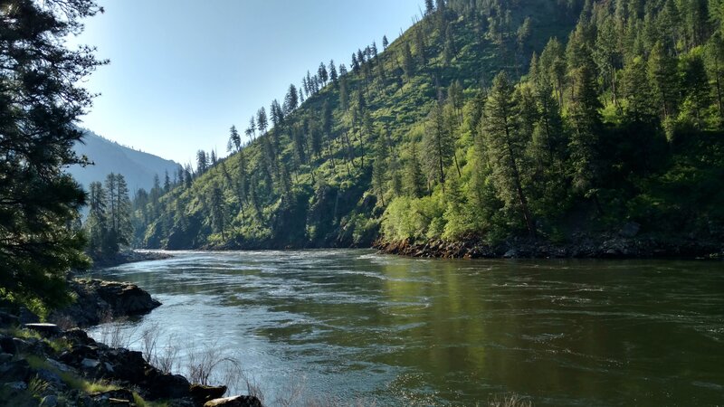 Looking up the Salmon River in the early morning sun, near Sheep Creek.