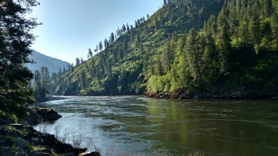 Looking up the Salmon River in the early morning sun, near Sheep Creek.