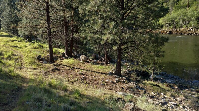 Salmon River Trail (left), near Sheep Creek, with the Salmon River nearby on the right.