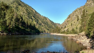 Salmon River, looking downstream near Sheep Creek.