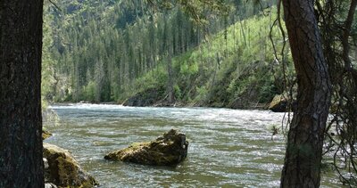 The Selway River, looking upstream, in the rugged land of north central Idaho. Steep valley walls, rock outcroppings everywhere, and forest.