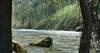 The Selway River, looking upstream, in the rugged land of north central Idaho. Steep valley walls, rock outcroppings everywhere, and forest.