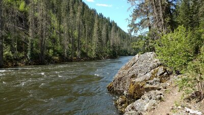 The Selway River. Looking downstream from Selway River Trail (lower right). Rugged and beautiful forest.