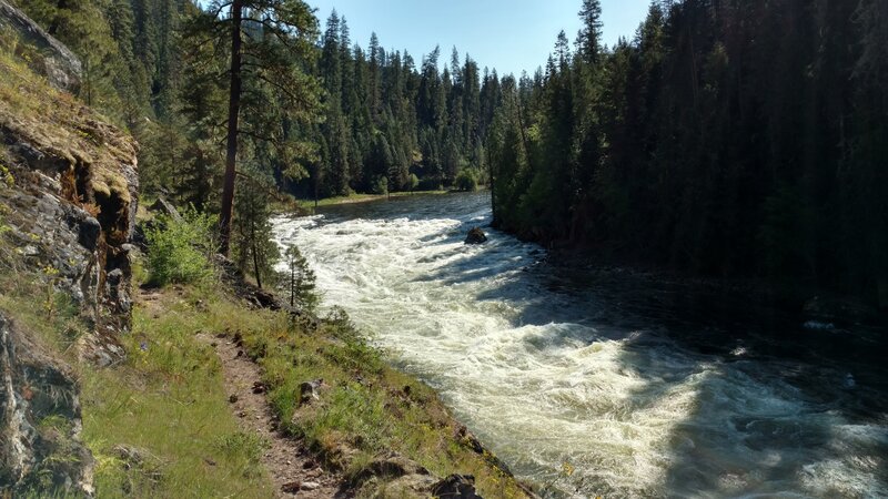 Wolf Creek Rapids on the Selway River. Class IV+.