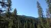 Looking up at the forested mountains from the Selway River Trail. Snow up there in early May.