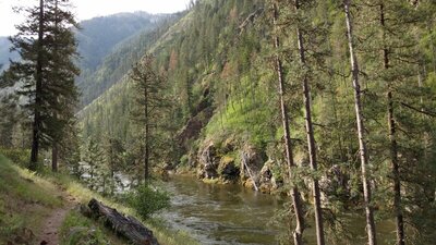 The Selway River, below the trail, winds its way down its rocky, steep sided, rugged river valley, on an early May morning.