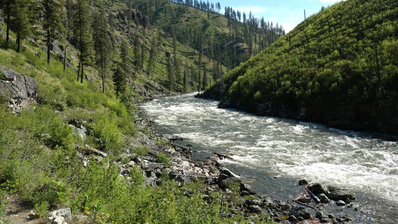 A close look at some rapids, as the trail runs near the Selway River's banks.