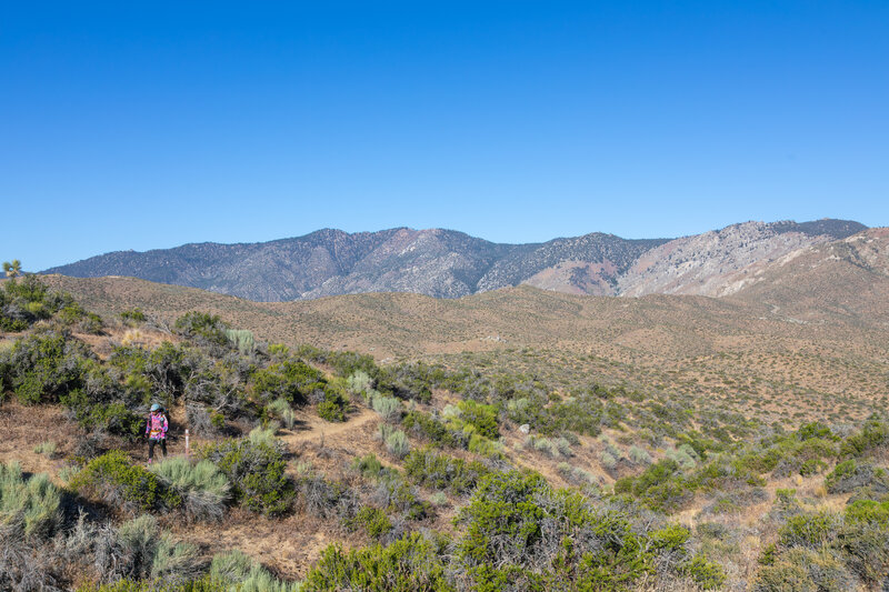 Piute Mountains
