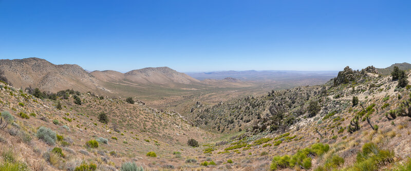 Bird Spring Canyon