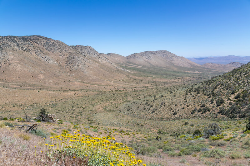 Bird Spring Canyon