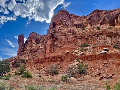 Poison Canyon