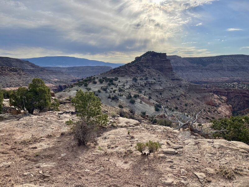 Top of Middle Canyon and the path down from mesa.