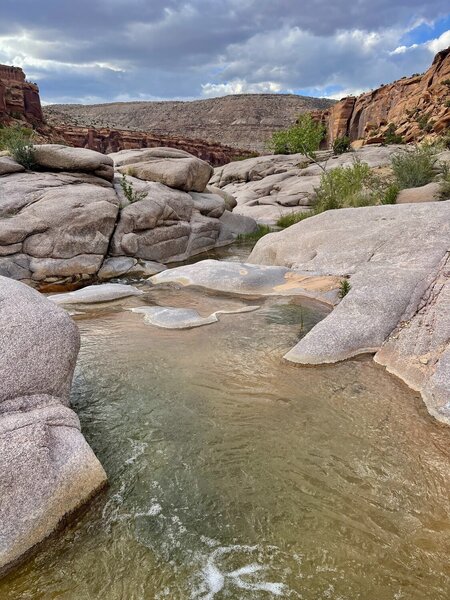First water down from top of Steamboat Mesa.