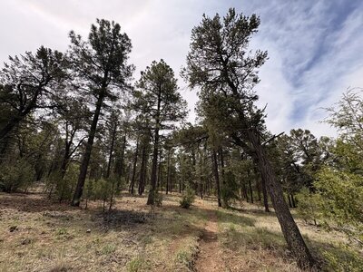 Dry trail conditions in late May 2026.