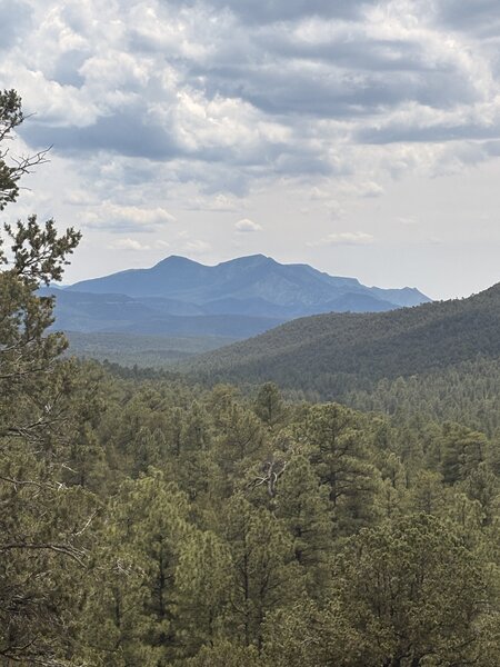 Manzano Mountains in the distance.