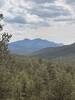Manzano Mountains in the distance.