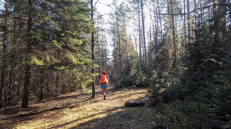 Trail run on the Powwow trail.