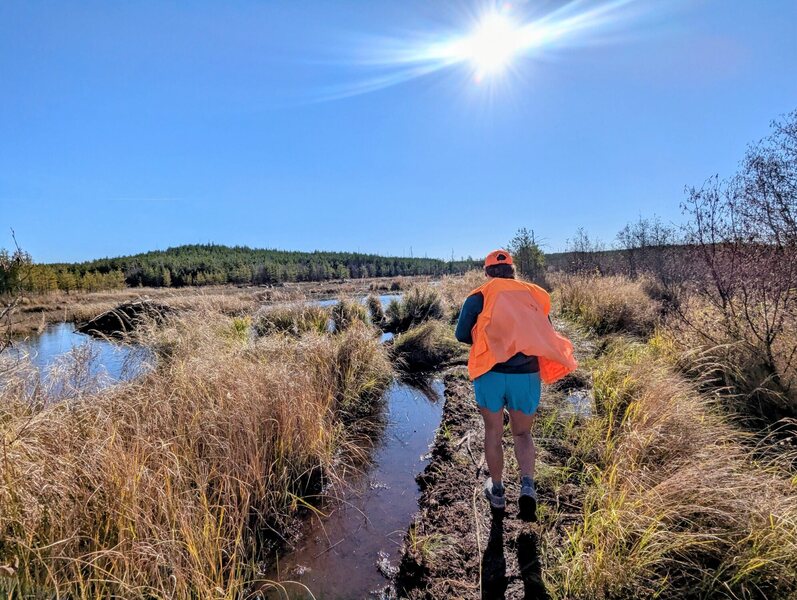 Some muddy areas, but most of the trail is dry and hikeable (or even runnable).
