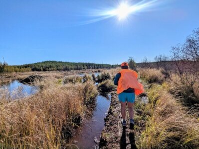 Some muddy areas, but most of the trail is dry and hikeable (or even runnable).