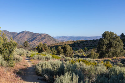 Pinyon Peak from Walker Pass.