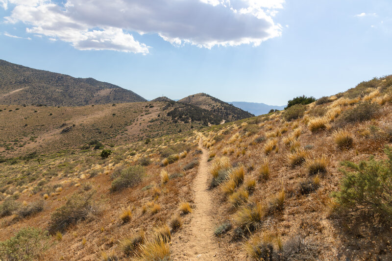 Approaching Bird Spring Pass.