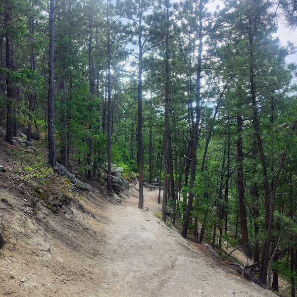 Trail is well maintained.