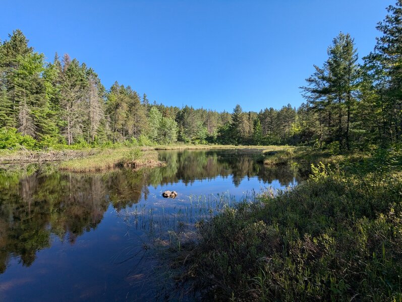 Lovely glacial pond