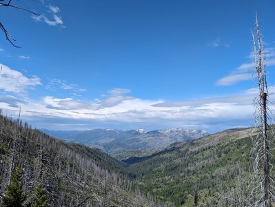 The looking down the West Fork of Zena Creek. Nick Peak is visible in the center. June 26th, 2024