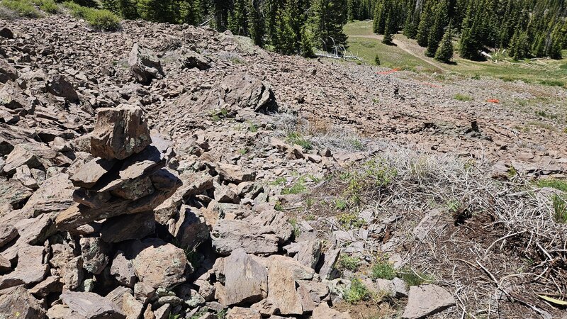 Cairn section through the scree.