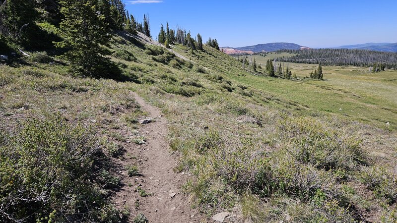 Looking out toward Cedar Breaks